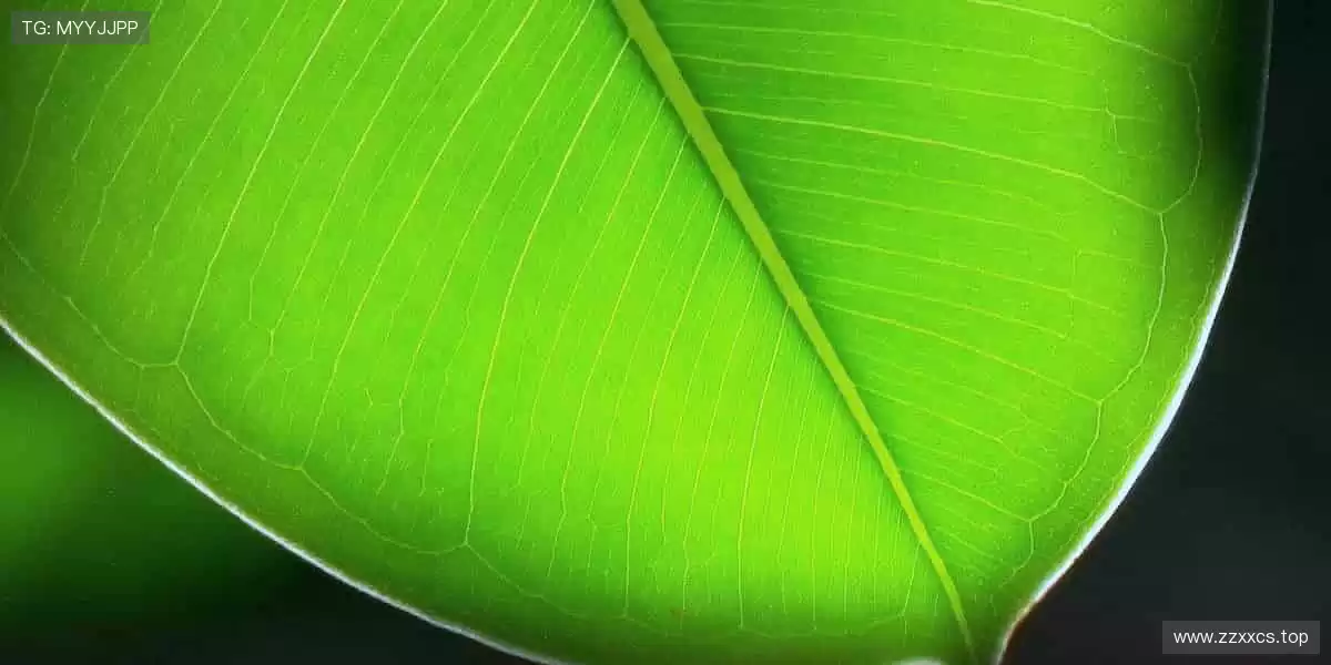 🌍与全球球迷同频，共享体育狂欢！🎉